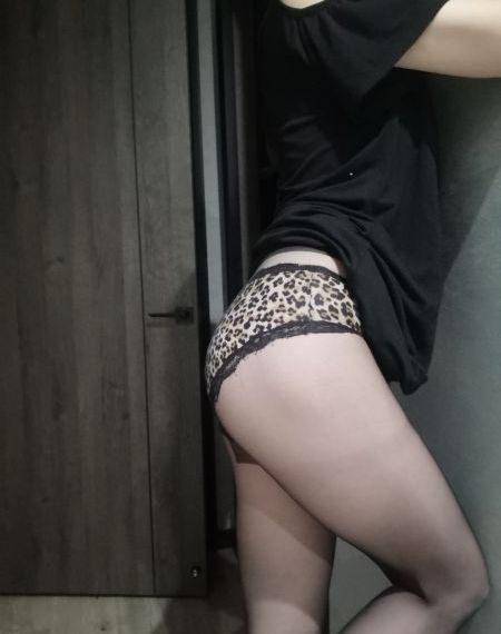 我是看守的专属宠物