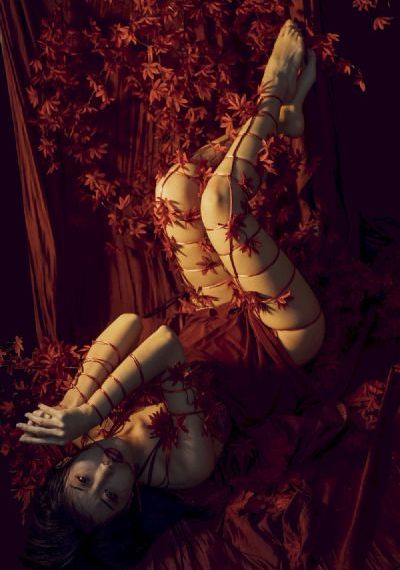 女人的秘密花园