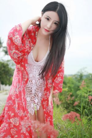 闯关东中篇
