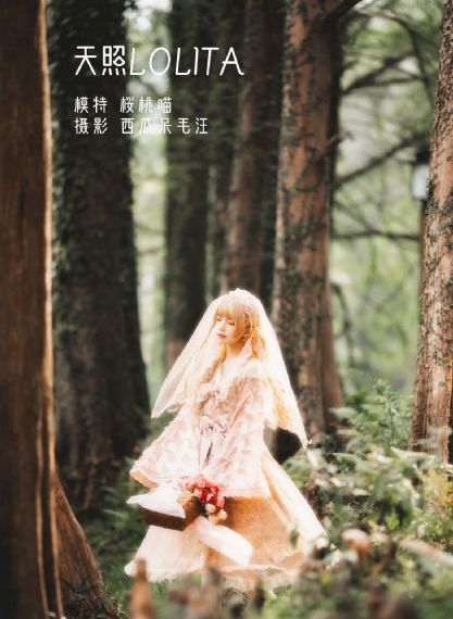 爱丫爱丫免费观看电视剧剧情