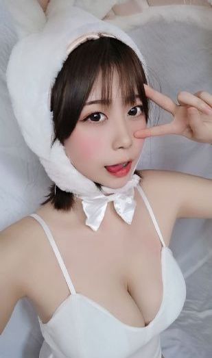 石纪元免费观看第一季