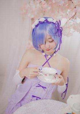 海豚加速器