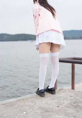 向风而行电视剧