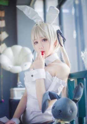 金燕子