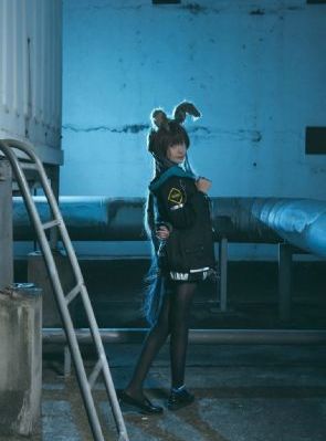 五十公里桃花坞3综艺免费观看