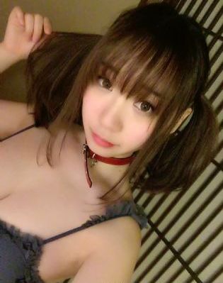 间谍过家家第二季