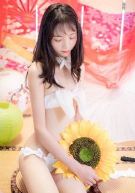 日本女教师日记